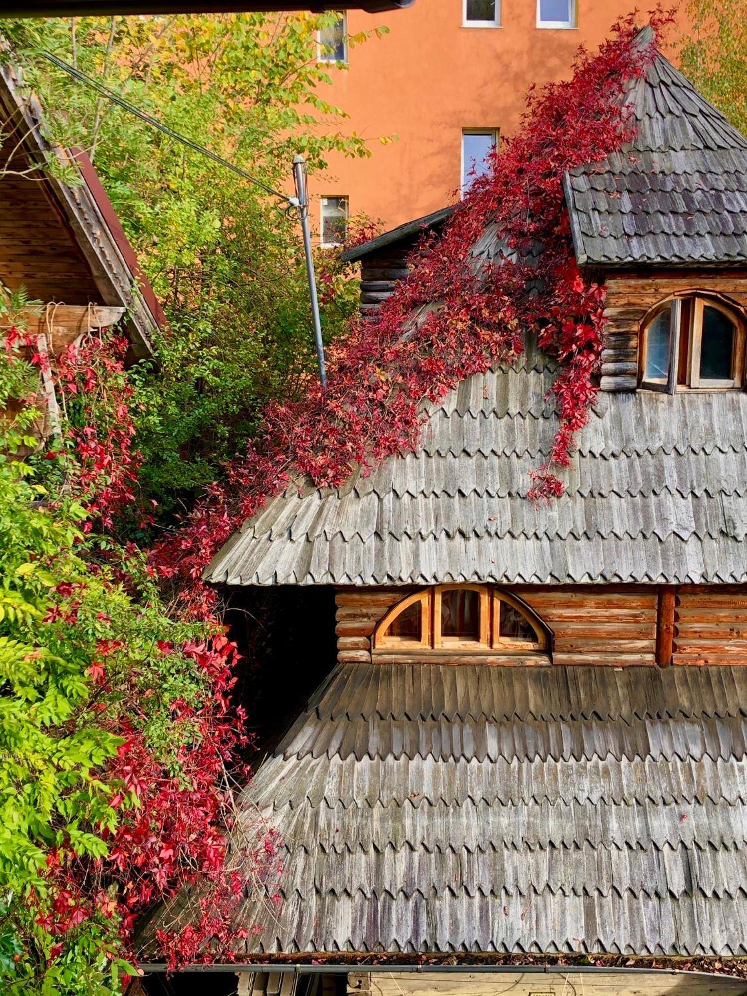 Casa Ieud - Catun Villa Синая Екстериор снимка